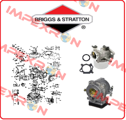 30209 5500  OBSOLETE Briggs-Stratton