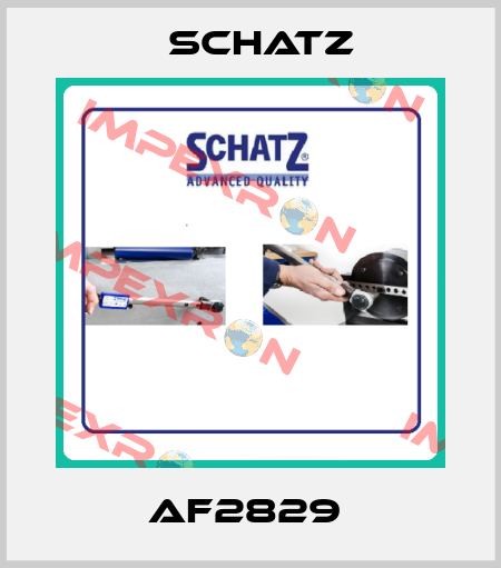 AF2829  Schatz