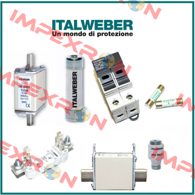 01590  Italweber