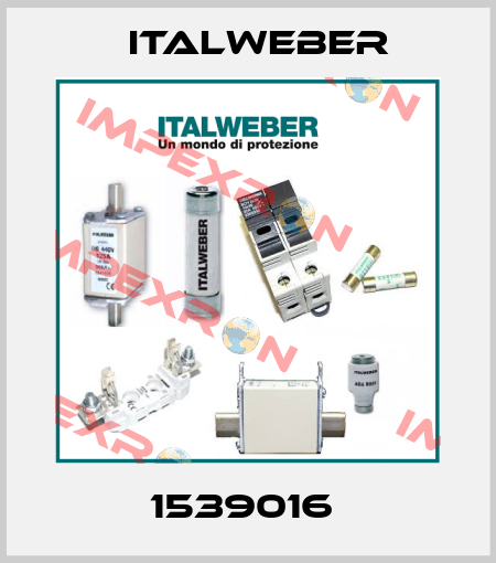 1539016  Italweber