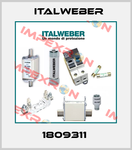 1809311  Italweber