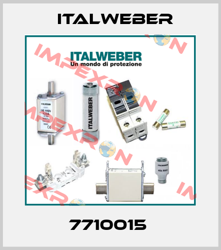 7710015  Italweber