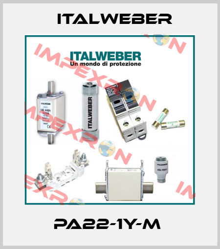 PA22-1Y-M  Italweber