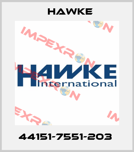 44151-7551-203  Hawke