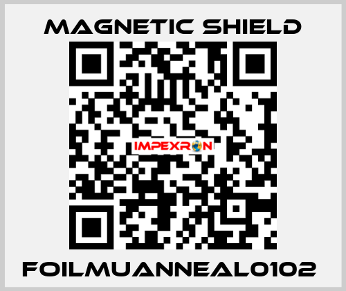 FOILMUANNEAL0102  Magnetic Shield