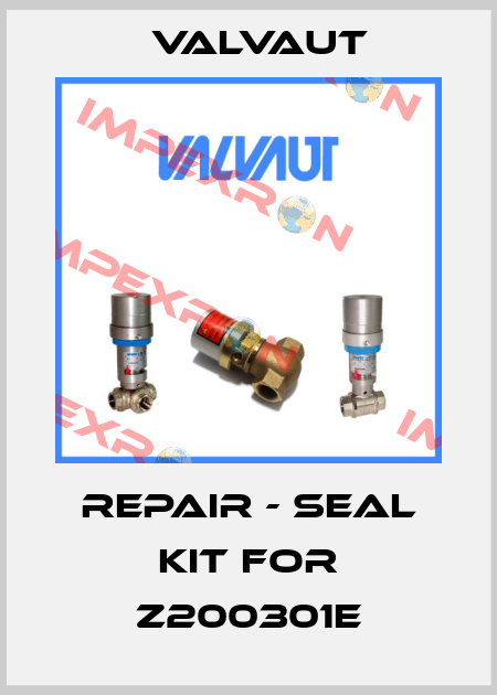Repair - seal kit for Z200301E Valvaut