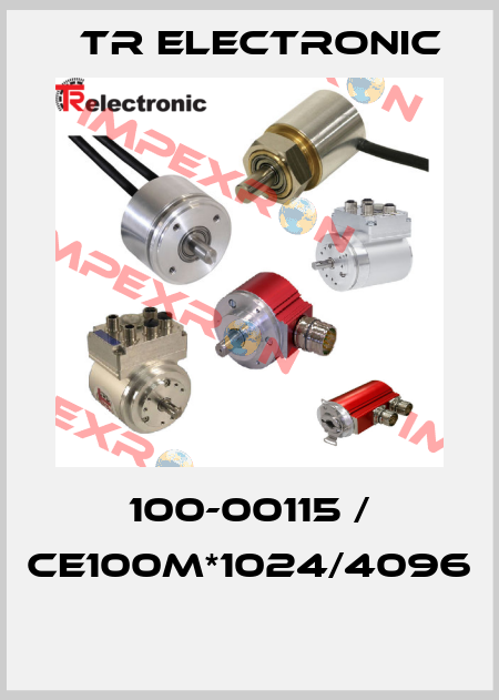 100-00115 / CE100M*1024/4096  TR Electronic