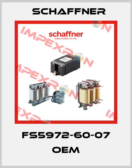 FS5972-60-07 oem Schaffner