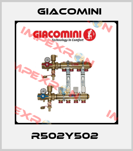 R502Y502  Giacomini