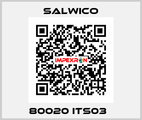 80020 ITS03   Salwico