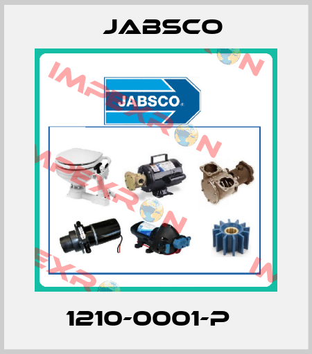 1210-0001-P   Jabsco