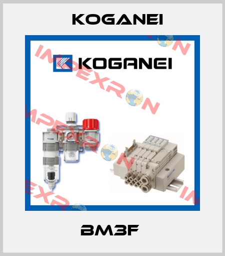 BM3F  Koganei