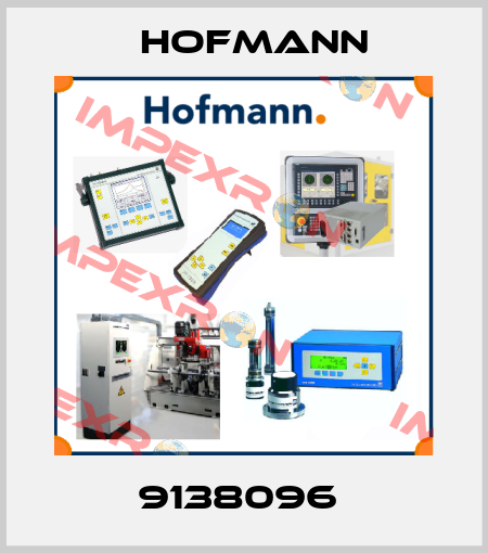 9138096  Hofmann
