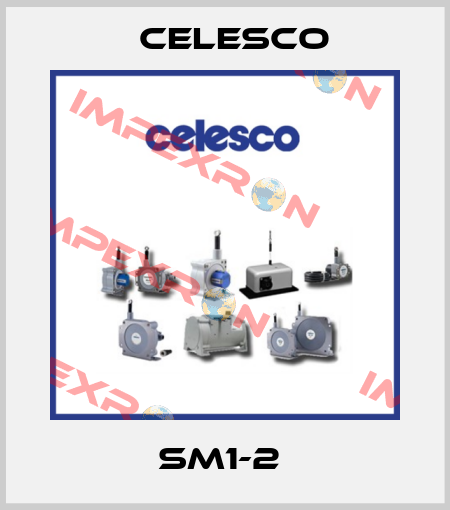 SM1-2  Celesco