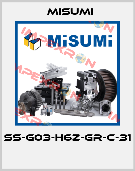 SS-G03-H6Z-GR-C-31  Misumi