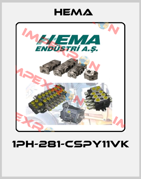 1PH-281-CSPY11VK  Hema