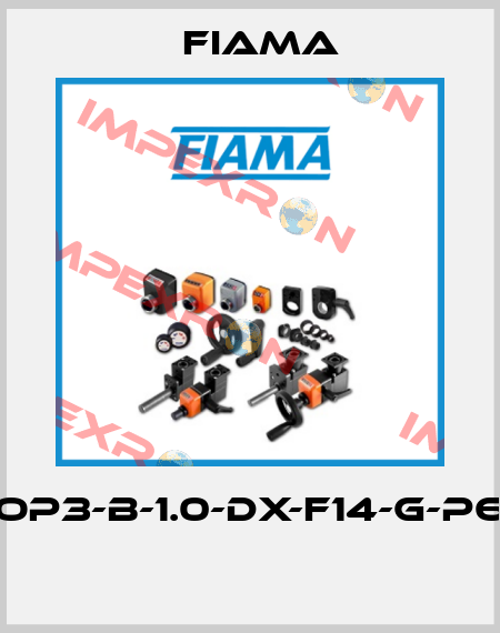 OP3-B-1.0-DX-F14-G-P6  Fiama
