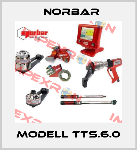 Modell TTs.6.0 Norbar