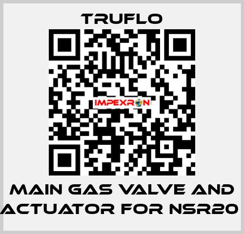 Main Gas Valve and Actuator For NSR20  TRUFLO