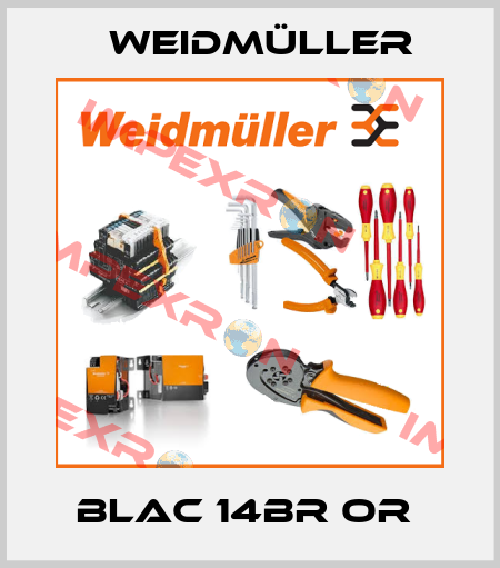 BLAC 14BR OR  Weidmüller