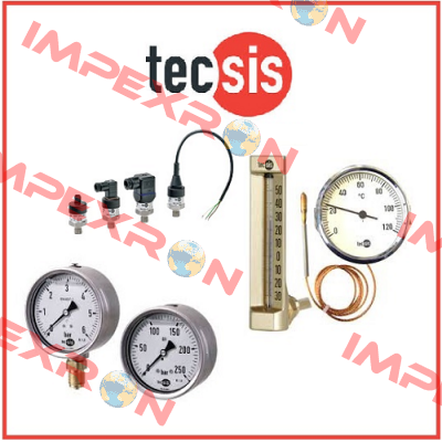 P2329B569006  Tecsis (WIKA Group)