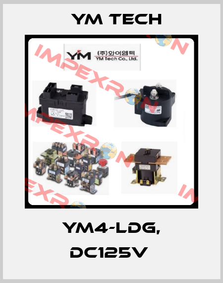 YM4-LDG, DC125V  YM TECH