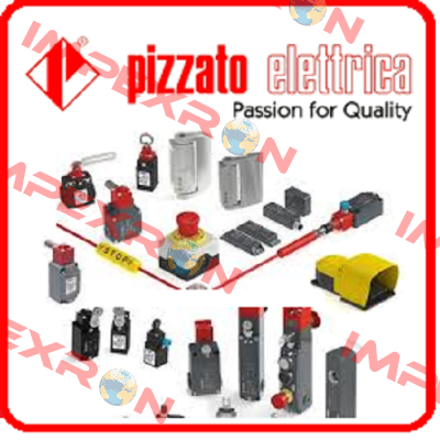 FD 601-1M2K21  Pizzato Elettrica