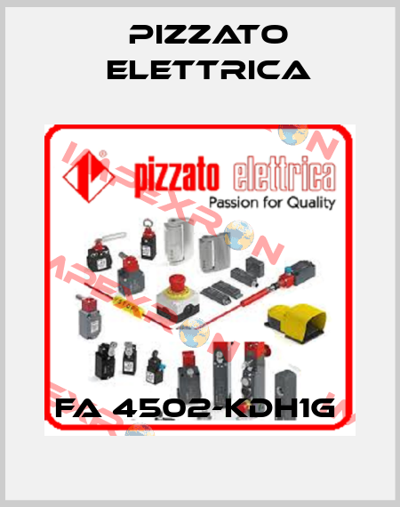 FA 4502-KDH1G  Pizzato Elettrica