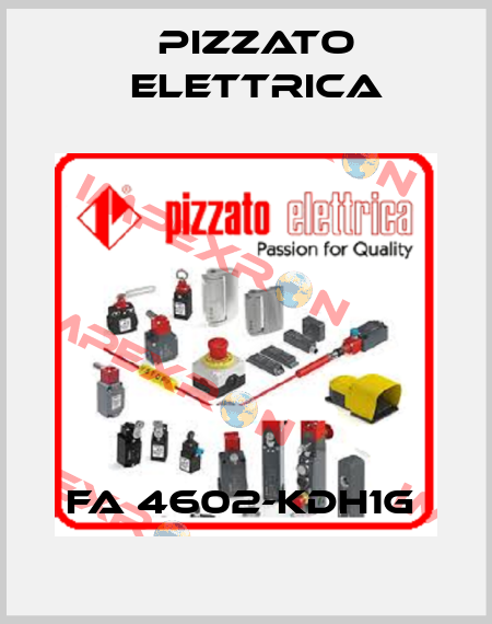 FA 4602-KDH1G  Pizzato Elettrica