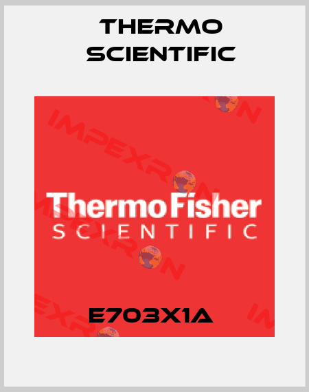 E703X1A  Thermo Scientific