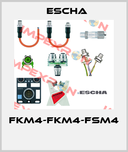 FKM4-FKM4-FSM4  Escha