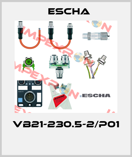 VB21-230.5-2/P01  Escha