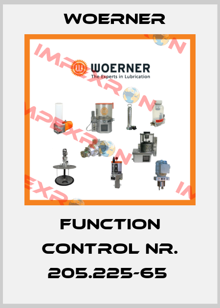 FUNCTION CONTROL NR. 205.225-65  Woerner