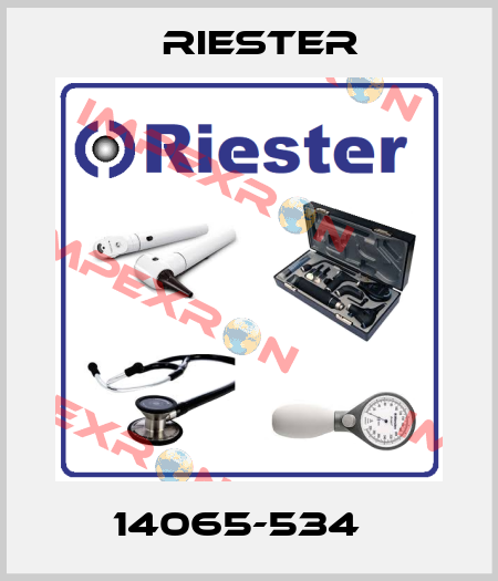 14065-534   Riester