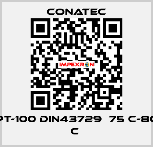 PT-100 DIN43729  75 C-80 C  Conatec