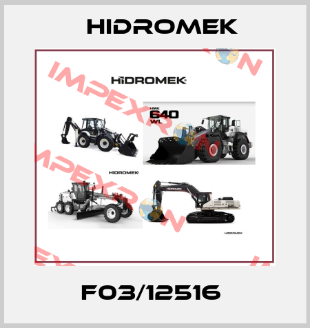 F03/12516  Hidromek