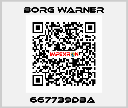 667739DBA  Borg Warner
