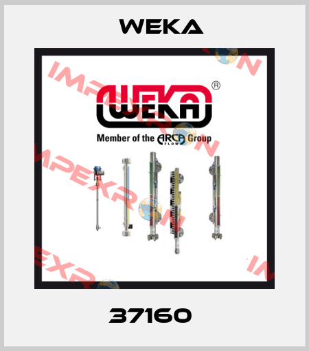 37160  Weka