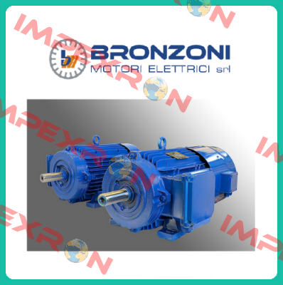 RCOMV 00021 Bronzoni