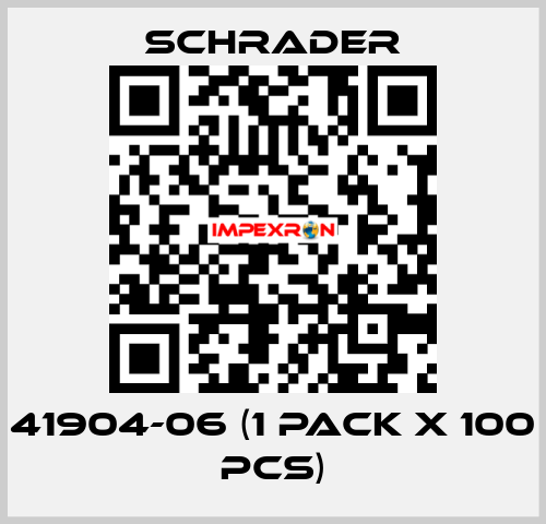 41904-06 (1 pack x 100 pcs) Schrader