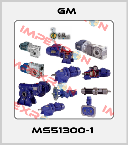 MS51300-1  GM
