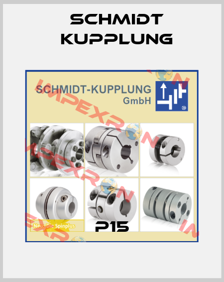 P15 Schmidt Kupplung