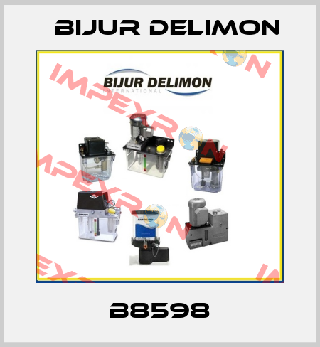 B8598 Bijur Delimon