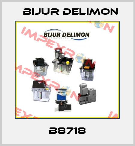 B8718 Bijur Delimon