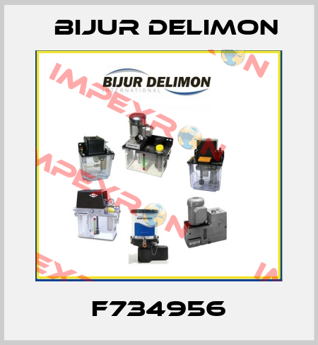 F734956 Bijur Delimon