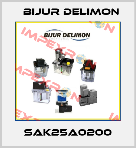 SAK25A0200 Bijur Delimon