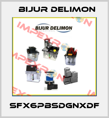 SFX6PBSDGNXDF Bijur Delimon