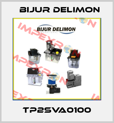 TP2SVA0100 Bijur Delimon