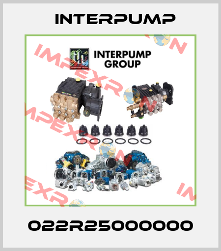 022R25000000 Interpump