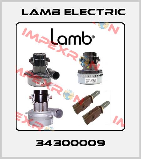 34300009 Lamb Electric